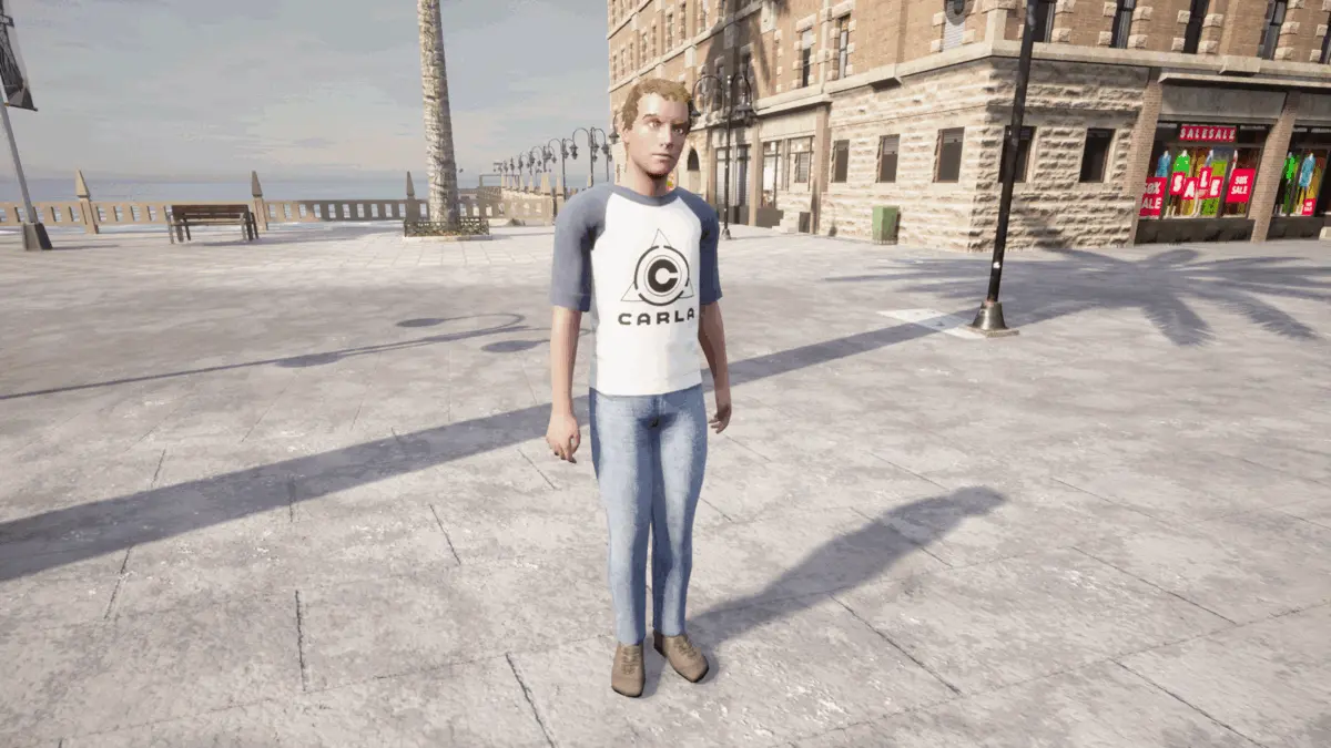 pedestrian_overview