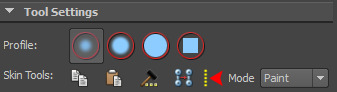 ART_SkinningToolSettings.png
