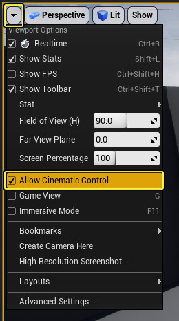 CinematicViewport_01.png