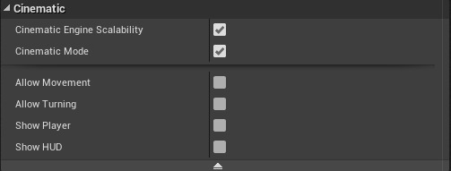 CinematicSettings.png