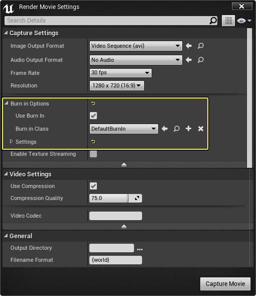 RenderMovieSettings_Burnin.png