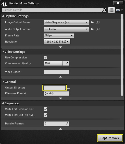 RenderMovieSettings_Output-1.png