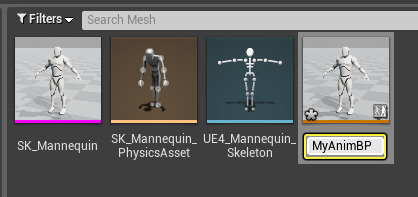 Create Animation Blueprint - Rename