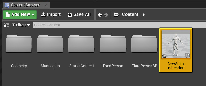 NewAnimBPCreated.png