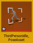 PoseAsset3.png