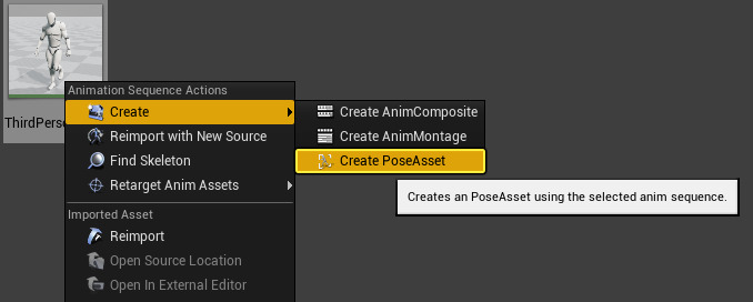 CreatePoseAsset_01.png