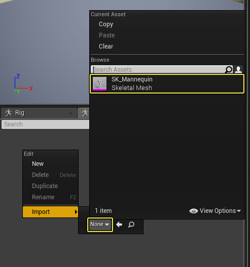 ImportSkeletalMesh.png