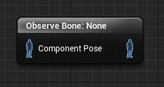 ObserveBone.png
