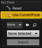 UseCurrentPose.png