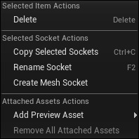 SkeletonContextMenu_Socket.png