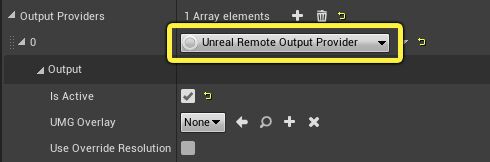 选择远程输出提供程序