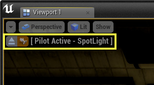 PilotViewportOptions.png