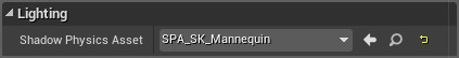 ShadowPhysicsAsset.png