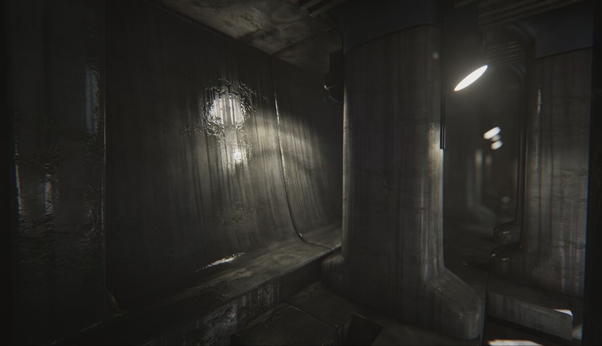 Reflection Environment