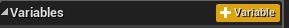 NewVariable.png
