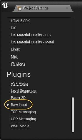 "项目设置（Project Settings）"菜单中的RawInput位置