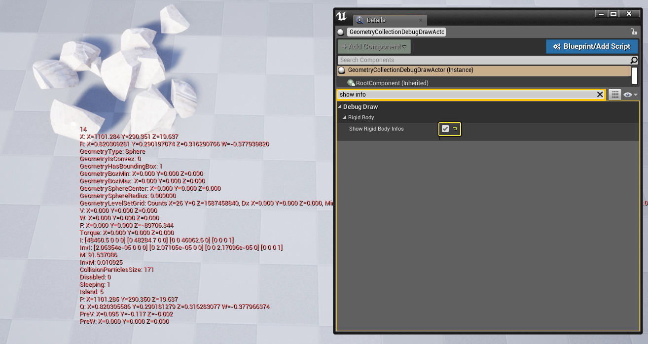 DebugDrawActor_ShowInfo.png