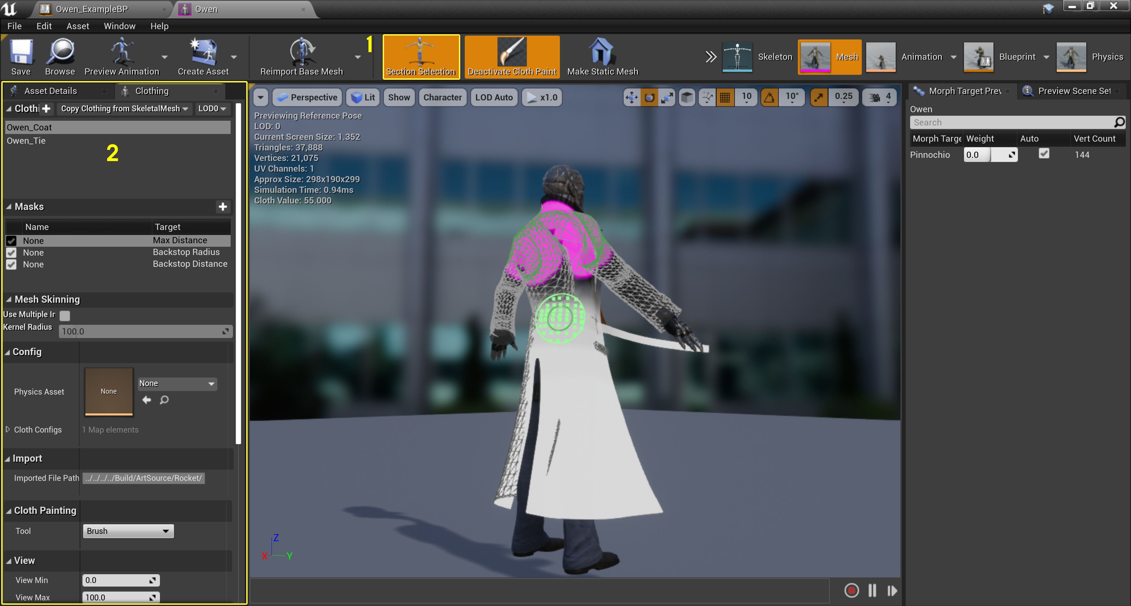 骨架网格体用户界面中的核心布料工具