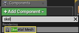 addSkelMeshComp.png