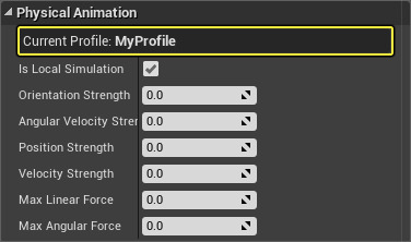 细节面板中的配置文件