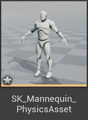 PhysicsAssetCB.png