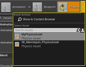 PhysicsAssetSelectionDropDown.png