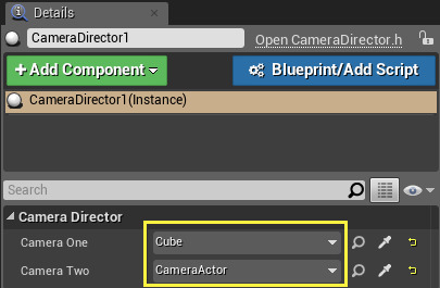 CameraDirectorDetails2.png