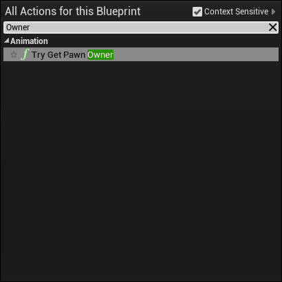 TryGetPawnOwnerBP_Node.png
