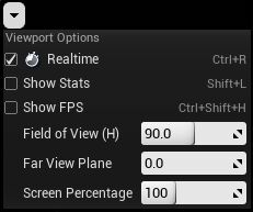 MaterailEditor_ViewportOptions.png