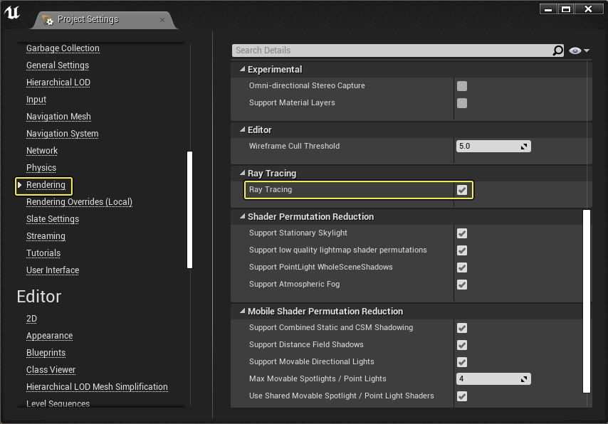 ProjectSetting_EnableRT