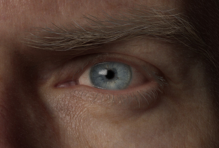 泪阜混合几何体：禁用