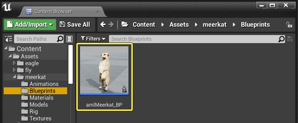 The location of the Meerkat control rig asset