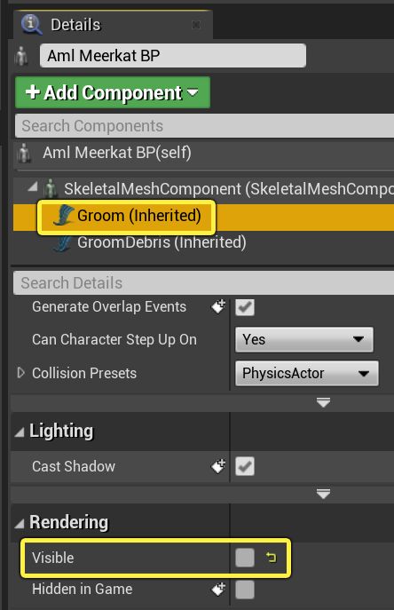 Groom visibility checkbox