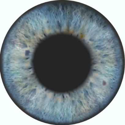 IrisTexture.png