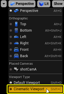 Sequence_Viewport_Cinematic_Enable.png