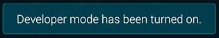 Dev_Mode_Active.png