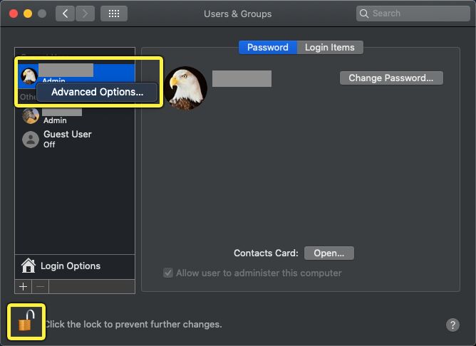 Use your credentials to unlock the advanced options, then access them with CTRL+Click