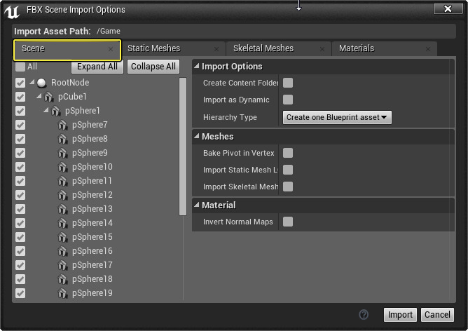 FBXSceneImportOptions.png