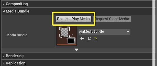 Request Play Media